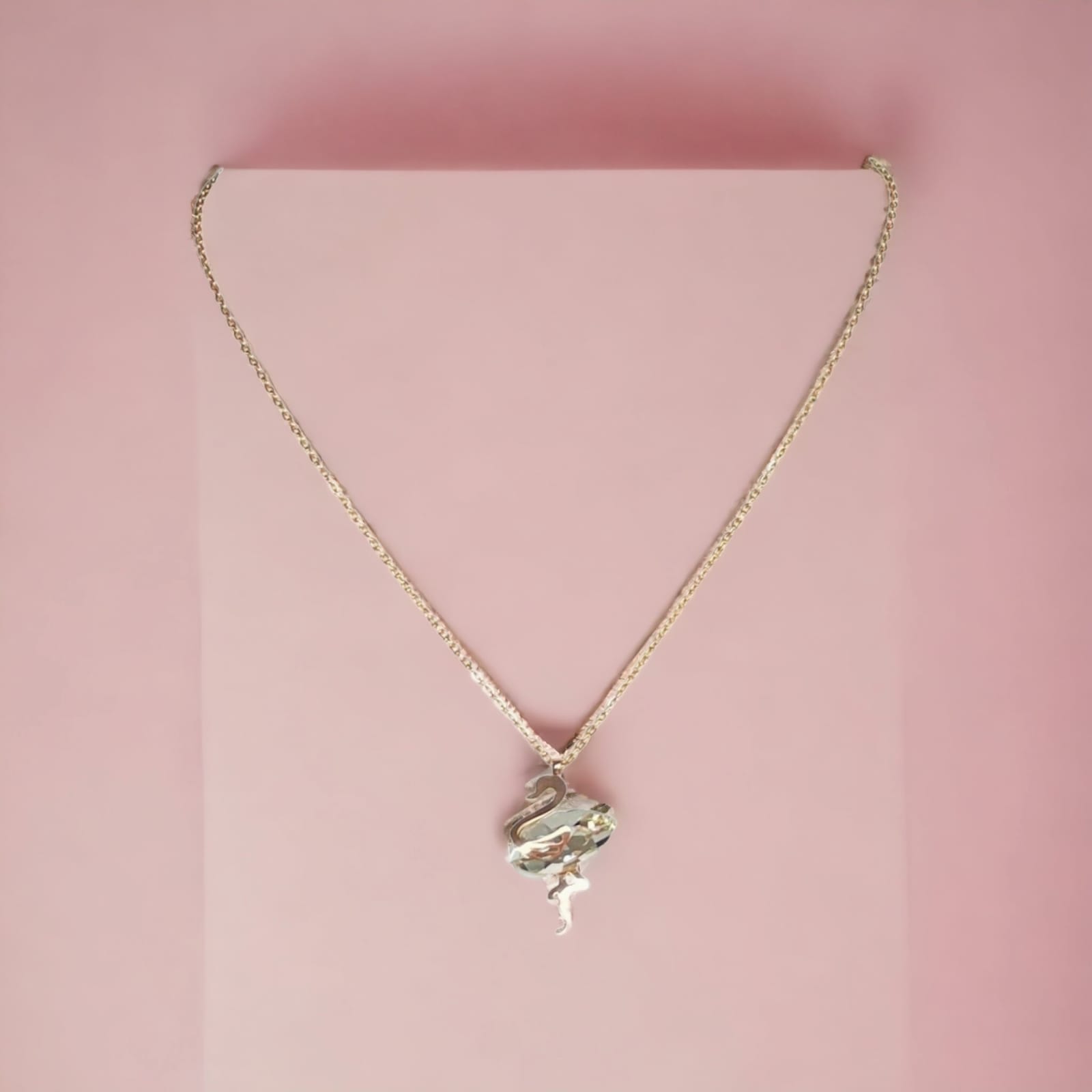 WhatsApp Image 2023-06-13 at 11.57.34 AM